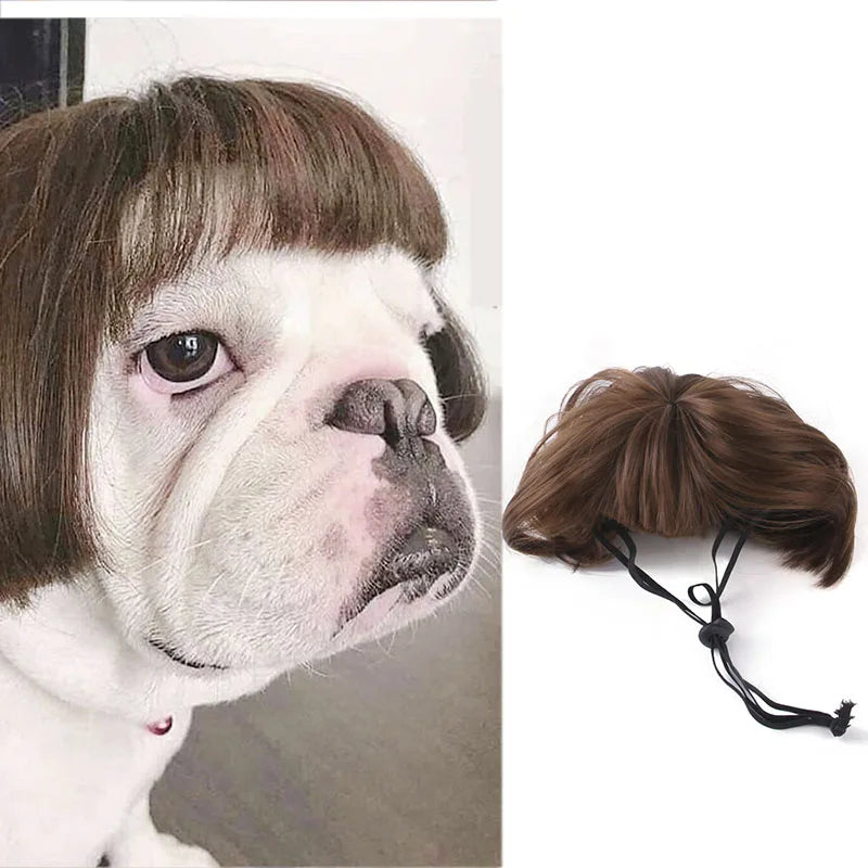 Funny Pet Wig for Dogs & Cats - Adjustable Costume Hairpiece for Photos, Parties & Tiktok