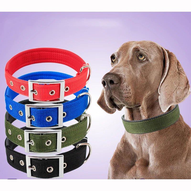 Adjustable Nylon Dog Collar - Durable Collar for Small, Medium & Large Dogs.