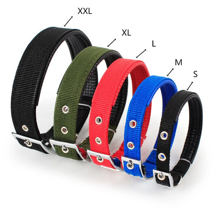 Adjustable Nylon Dog Collar - Durable Collar for Small, Medium & Large Dogs.
