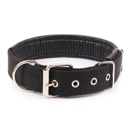 Adjustable Nylon Dog Collar - Durable Collar for Small, Medium & Large Dogs.