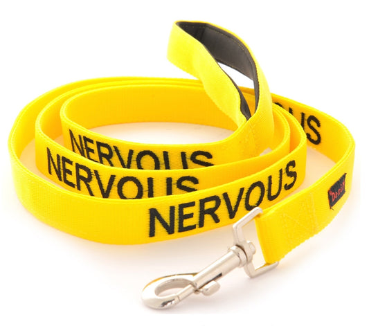 Relax Walk NERVOUS Dog Lead Safety Prevention With Matching Yellow Collar