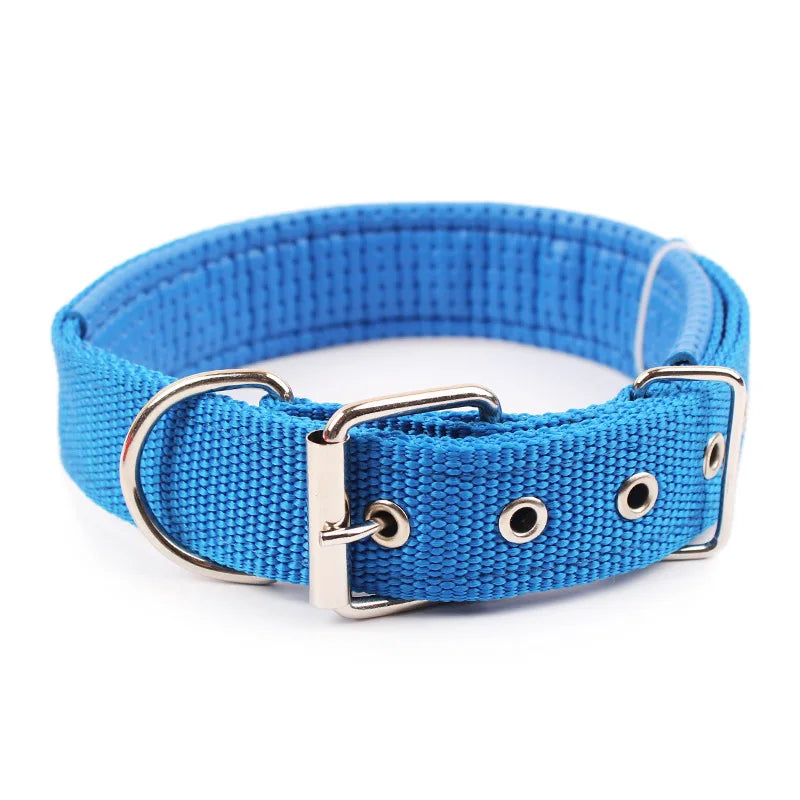 Adjustable Nylon Dog Collar - Durable Collar for Small, Medium & Large Dogs.