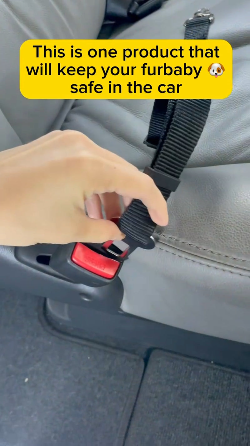 2-Pack Adjustable Dog Car Seat Belt - Travel Safety Restraint.