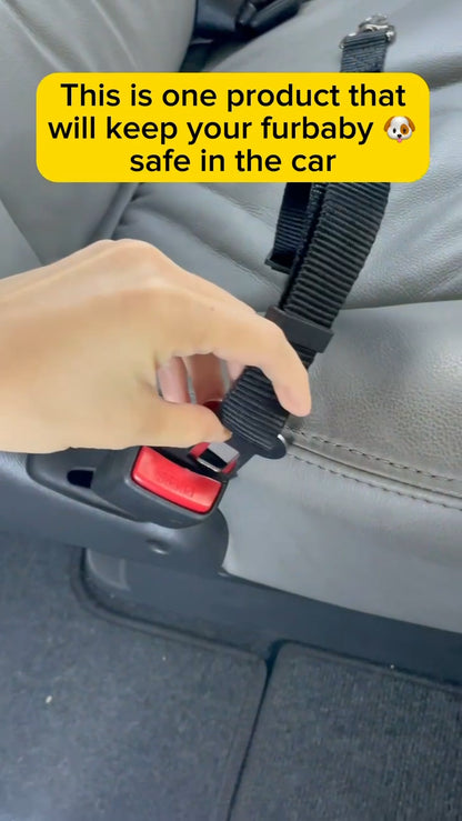 2-Pack Adjustable Dog Car Seat Belt - Travel Safety Restraint.