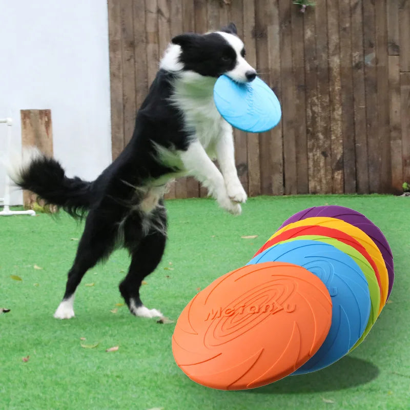 Dog Flying Discs - Durable Fetch Toy for Active Dogs.