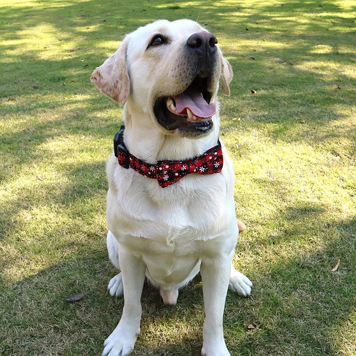 Christmas Dog Collar with Bow Tie -  Festive Plaid Collar for Dogs.