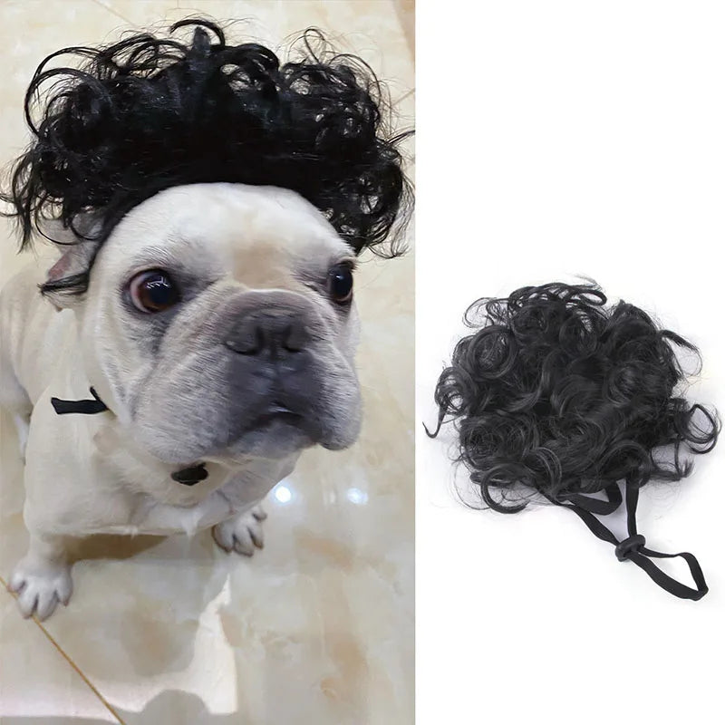 Funny Pet Wig for Dogs & Cats - Adjustable Costume Hairpiece for Photos, Parties & Tiktok