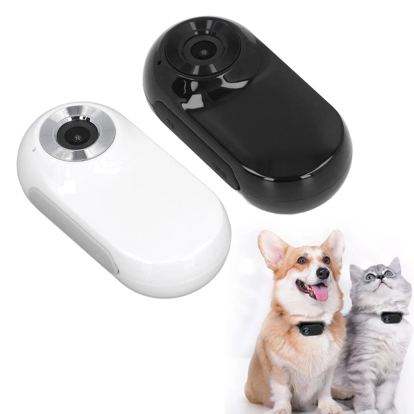 Dog Collar Camera with Video Recording - See Life From Your Pet's Perspective!