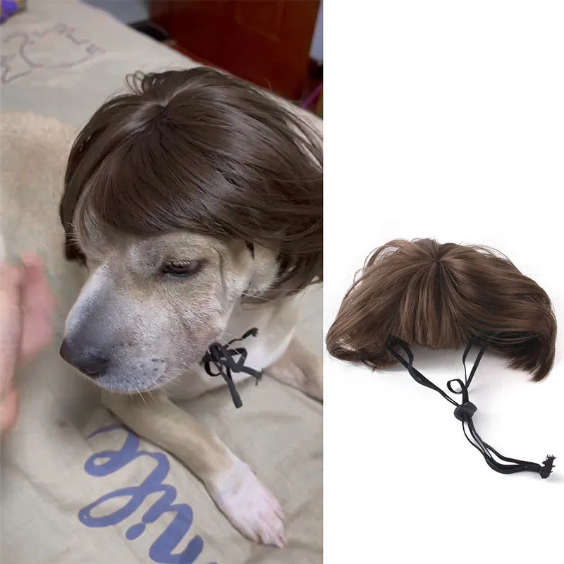 Funny Pet Wig for Dogs & Cats - Adjustable Costume Hairpiece for Photos, Parties & Tiktok
