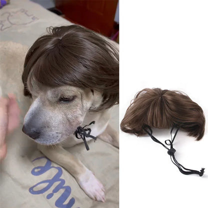 Funny Pet Wig for Dogs & Cats - Adjustable Costume Hairpiece for Photos, Parties & Tiktok
