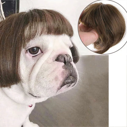 Funny Pet Wig for Dogs & Cats - Adjustable Costume Hairpiece for Photos, Parties & Tiktok