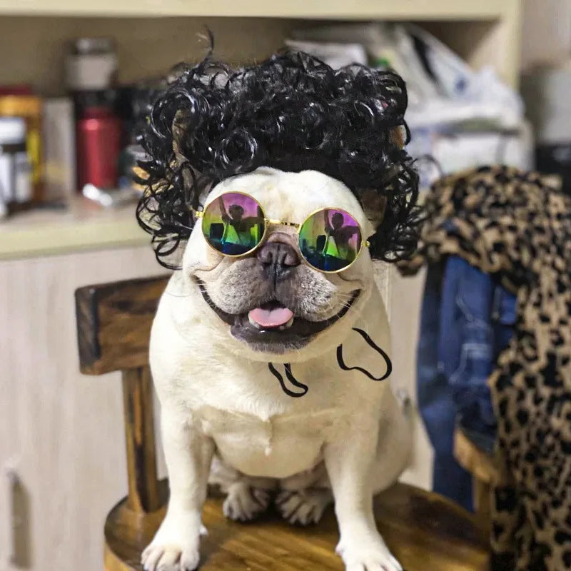 Funny Pet Wig for Dogs & Cats - Adjustable Costume Hairpiece for Photos, Parties & Tiktok