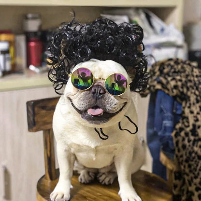 Funny Pet Wig for Dogs & Cats - Adjustable Costume Hairpiece for Photos, Parties & Tiktok