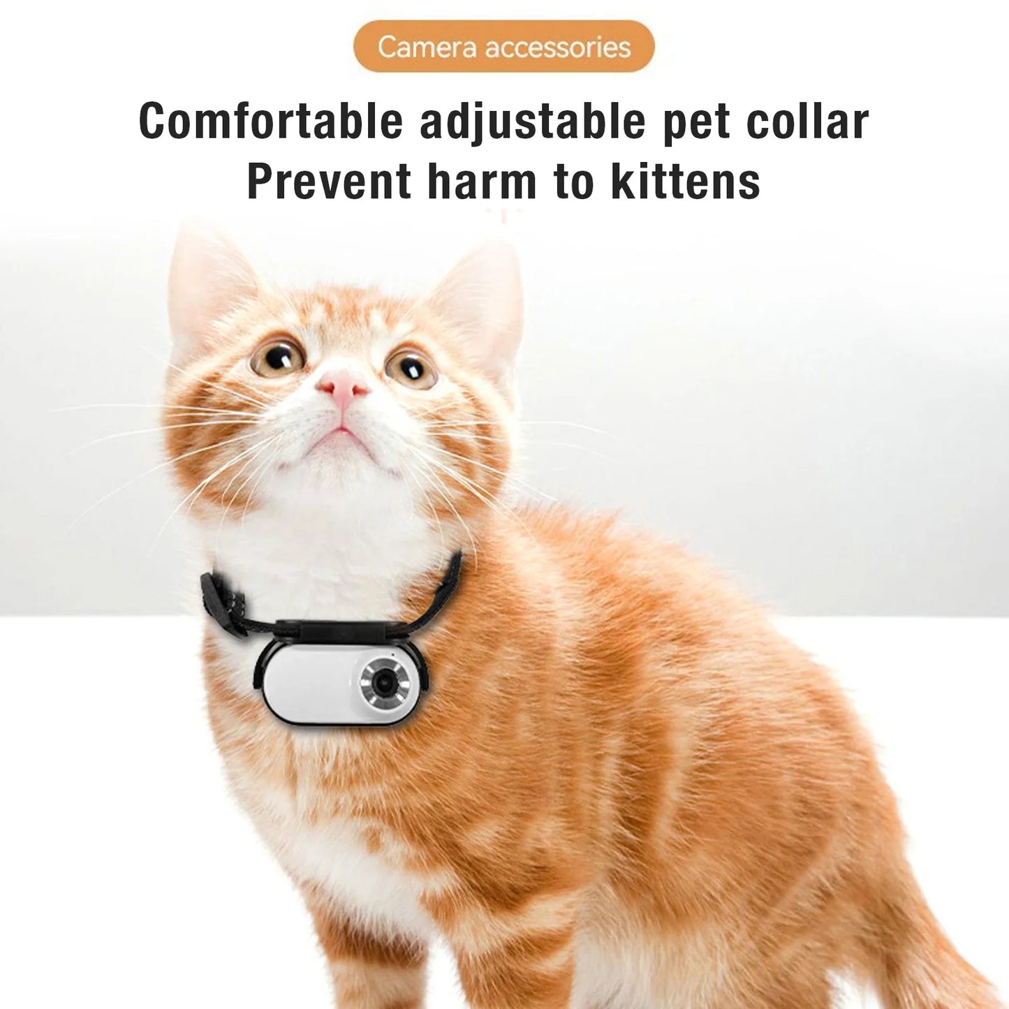Dog Collar Camera with Video Recording - See Life From Your Pet's Perspective!