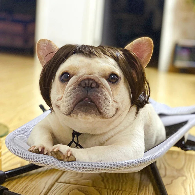 Funny Pet Wig for Dogs & Cats - Adjustable Costume Hairpiece for Photos, Parties & Tiktok