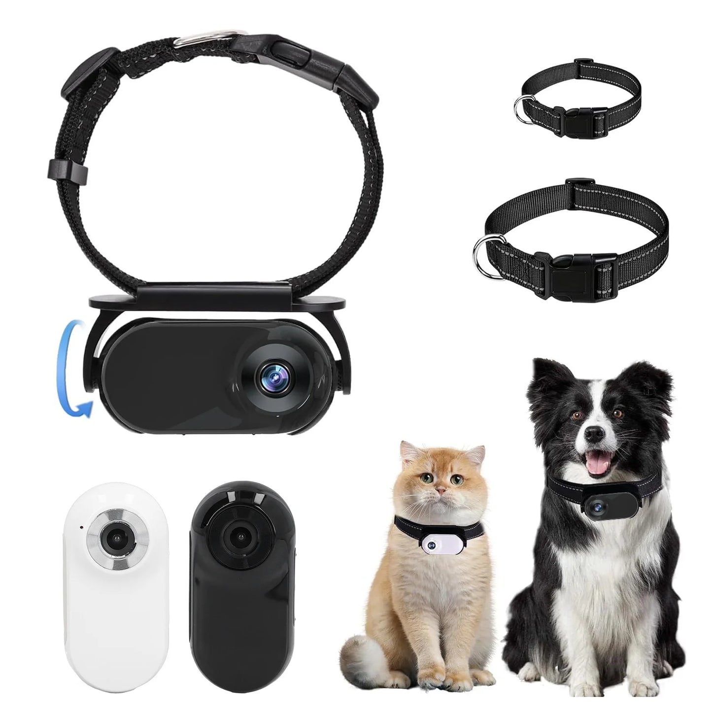 Dog Collar Camera with Video Recording - See Life From Your Pet's Perspective!