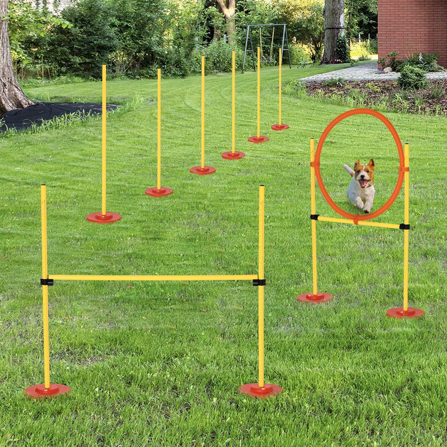 3-IN-1 Dog Agility Training Set - Garden Obstacle Course For Dogs.