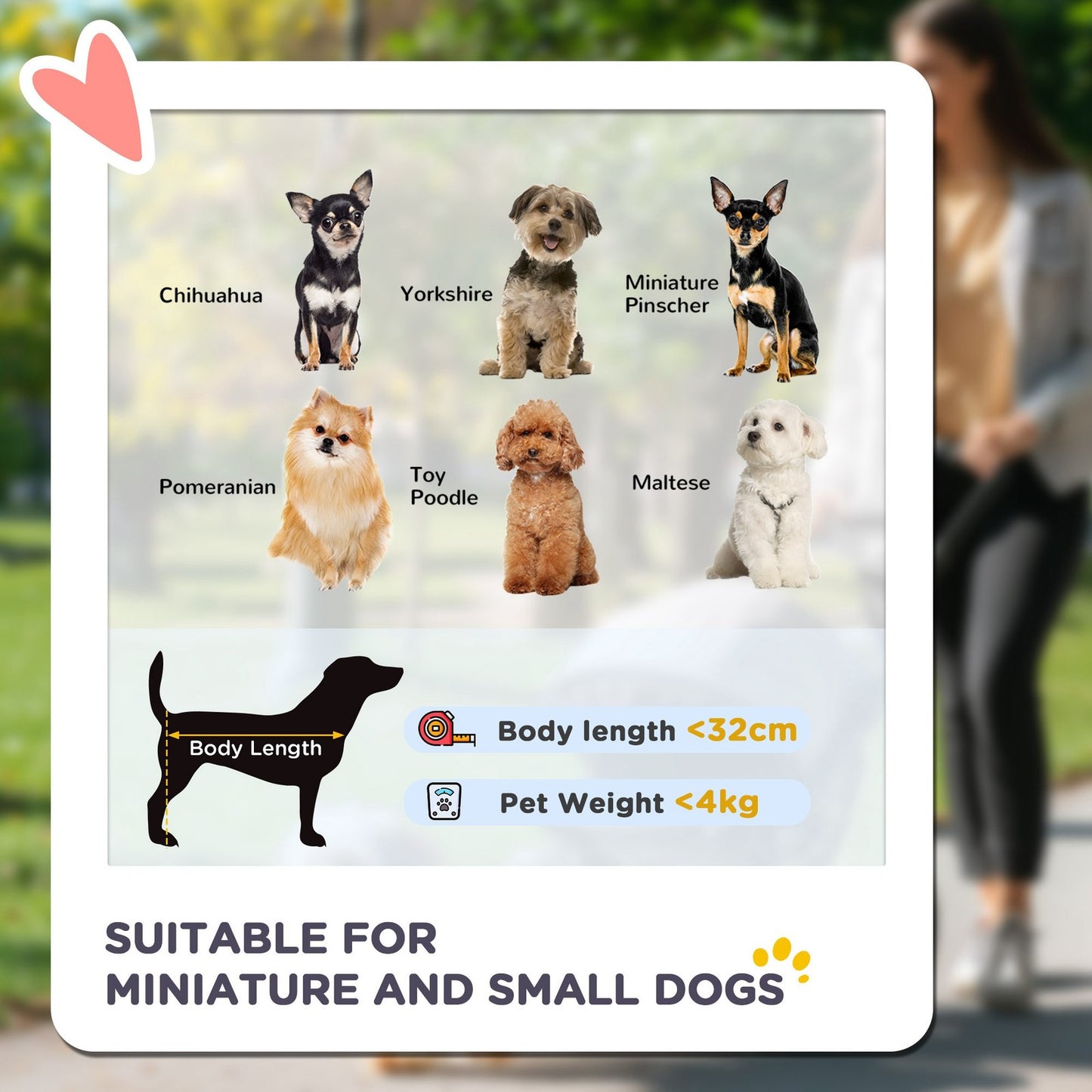 Foldable Pet Stroller - Comfortable Travel Pushchair for Small Dogs & Cats.