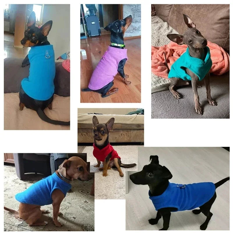 Soft Fleece Dog Jacket - Warm Everyday Coat For Dogs.