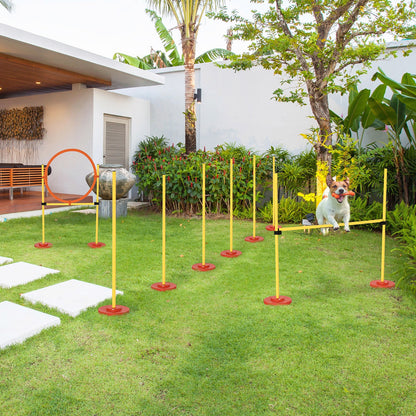 3-IN-1 Dog Agility Training Set - Garden Obstacle Course For Dogs.